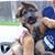 David T. Hudnall's profile image