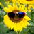 Teresa Calain Dunnuck's profile image