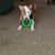 Carol Tuftee's profile image
