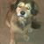Tammy Jarrell Suttle's profile image