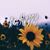 Amy Mischler's profile image