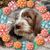Sarah Keth's profile image