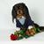 Tracey Shaffer's profile image