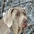 Amy Orsulak's profile image