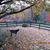 Donna Tilford's profile image