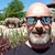 Robert Vitale's profile image