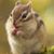 Curtis Tobin Sr.'s profile image