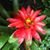 Maureen E Simmons's profile image