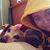 Chrissy Marie's profile image