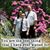 Amy Lynn Courtemanche's profile image