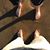 Nick Jelley's profile image