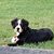 Maureen Fee's profile image