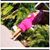 Celi Nicoya's profile image