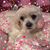 Dee Herschbach's profile image