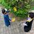 Lama Ahmad Al Sharieh's profile image