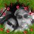 Judy Holcomb Baker's profile image