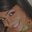 Darshy N's profile image