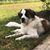 Julie Carmitchel Depue's profile image