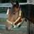 Denice LaMontagne's profile image