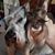 Laura McGill's profile image