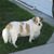 Darlene Dunn's profile image