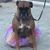 Shawn Epps Johannesson's profile image