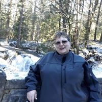 Toni Taylor's profile image