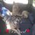 Gary Durkin Jr's profile image