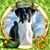 Jeanne Hale's profile image