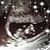 Rebecca Ward's profile image