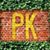 Patrick Kelly's profile image
