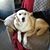 Ken Moore's profile image