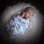 Susan Reinier Jensen's profile image