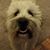 Susanne Whelchel's profile image