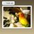 Karen Herzog Hagblom's profile image