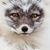 Sonya Chappelear's profile image