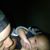 Davon Dion Dukuly's profile image