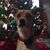Cindi Currence Mullins's profile image