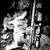 Nathan Cremeans's profile image