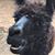 Marla Brown's profile image