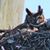 M Louise Oakes's profile image
