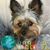 Penny Young's profile image