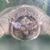 Christopher Burns's profile image