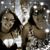 Jenny Ziemer's profile image