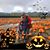 Kristi Haroldsen-Peters's profile image
