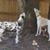 Jean Meader's profile image