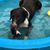 Lori Summerford Kinard's profile image