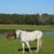 Kelly Tadlock's profile image