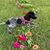 Gliset Maria Perez's profile image