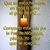 Mercedes Torres Olivares's profile image